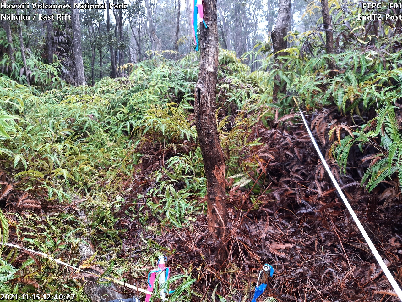 Photo of plot marker for relocation