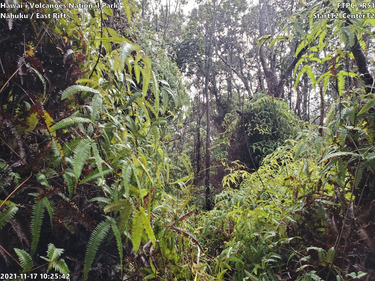 Eye-level view of plant community at monitoring site