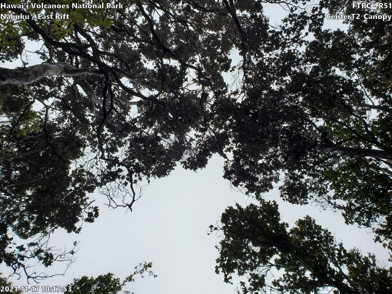 Eye-level view of plant community at monitoring site