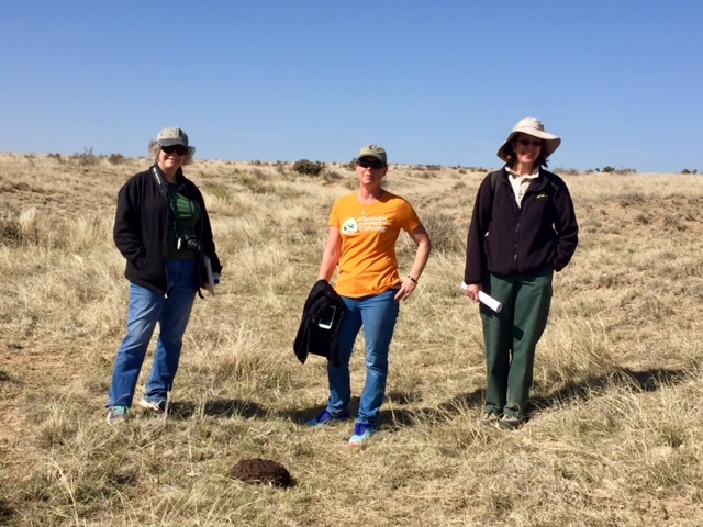 A group of people standing in a grassy field.