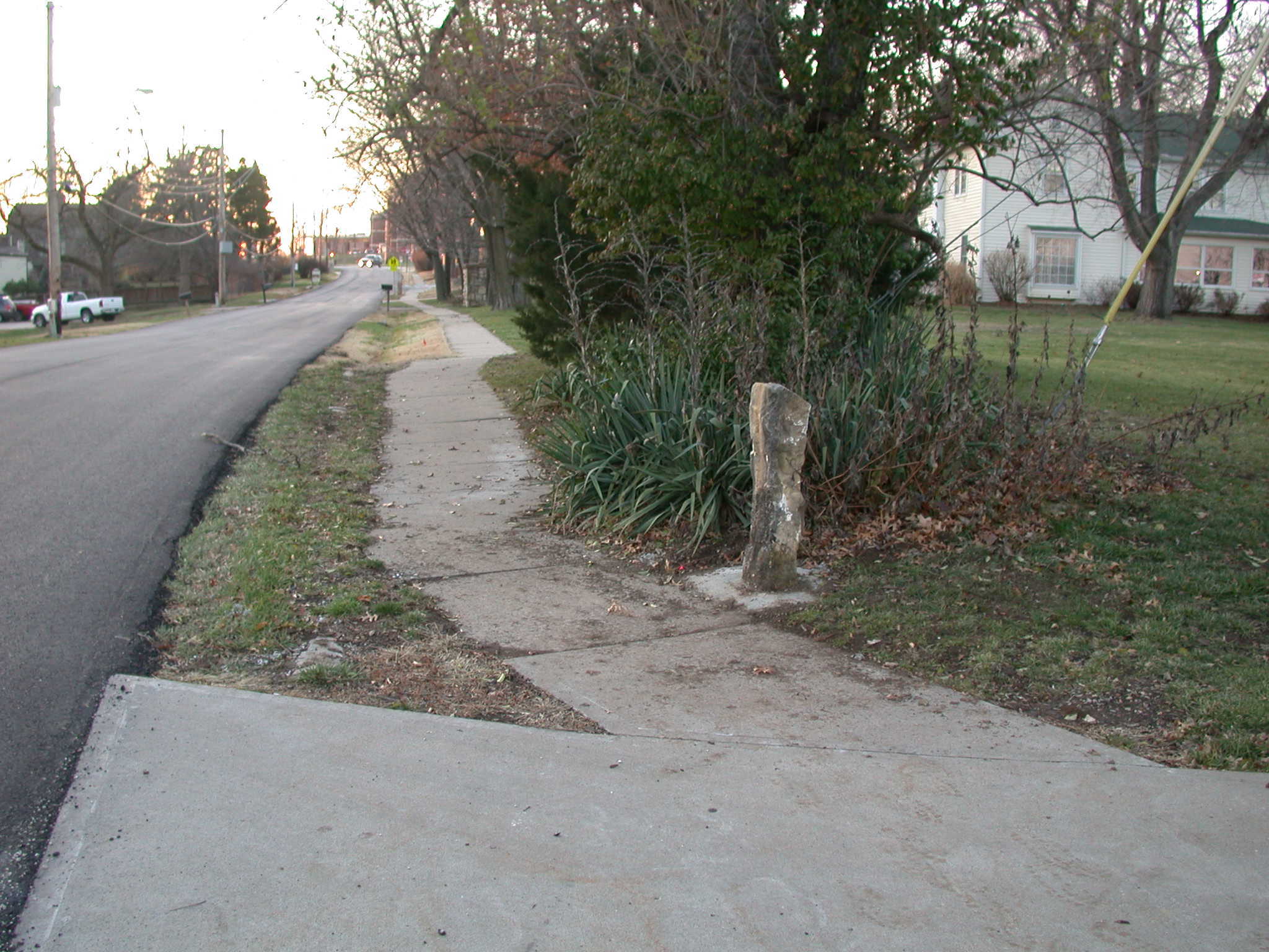 A concrete post at the edge of a sidewalk with overgrown plants and a residential street extending into the distance.