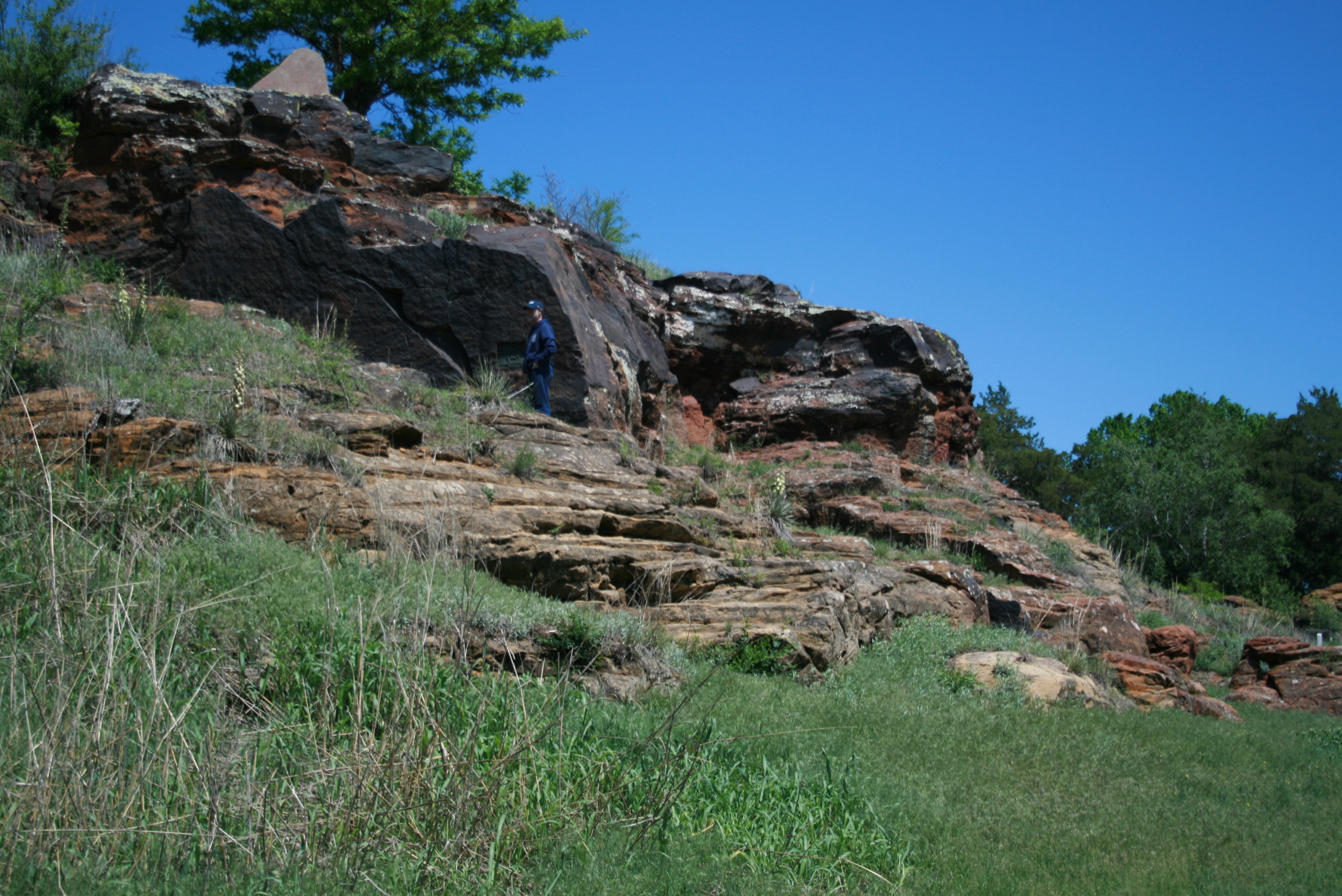 Layered rock formations with green shrubs and blue wildflowers in the foreground under a clear blue sky.