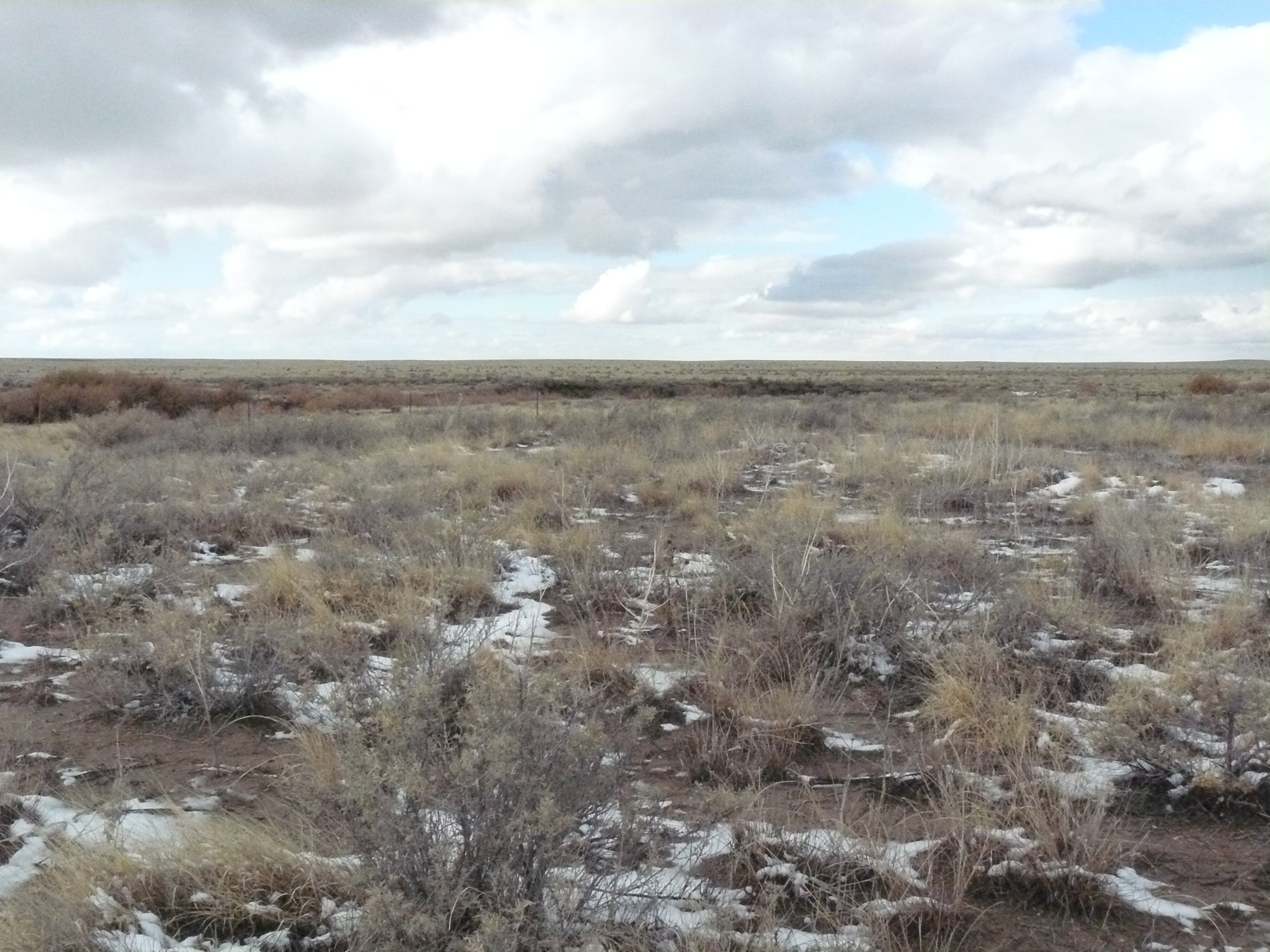 A wayside with clouds in the sky and a field covered in snow.
