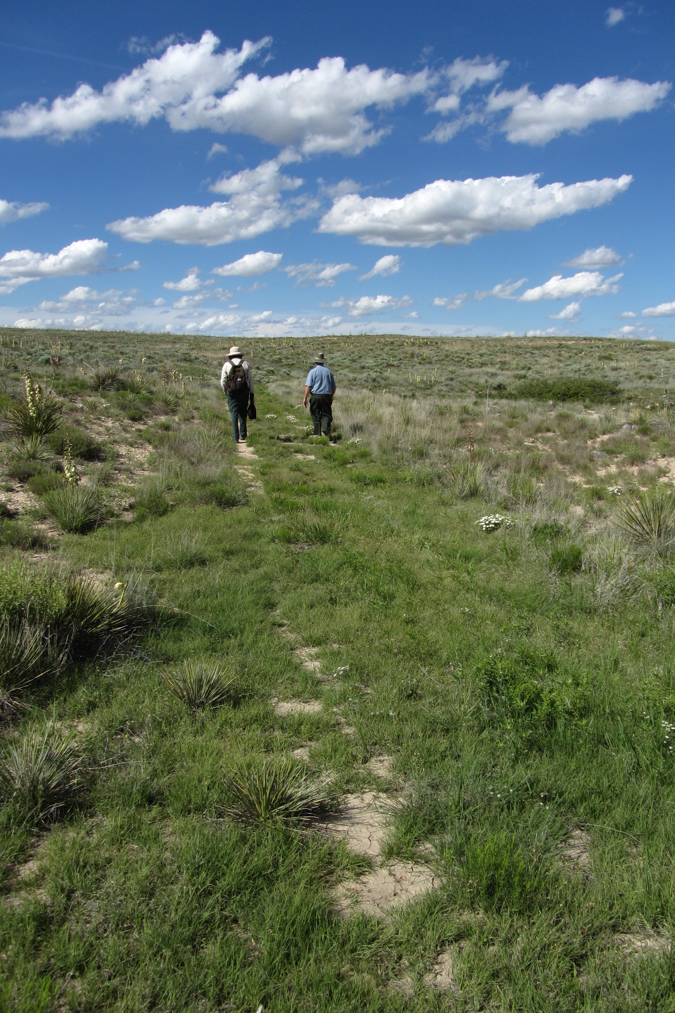 A group of people walking on a grassy path.