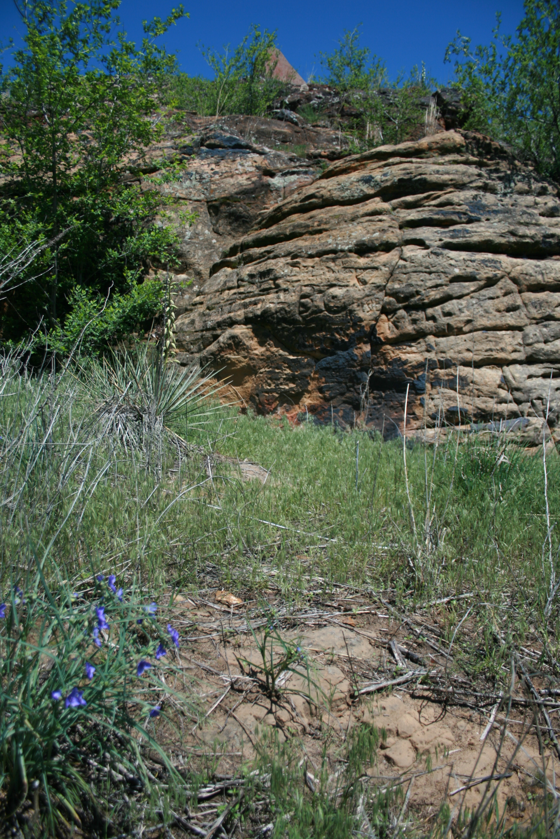 Layered rock formations with green shrubs and blue wildflowers in the foreground under a clear blue sky.
