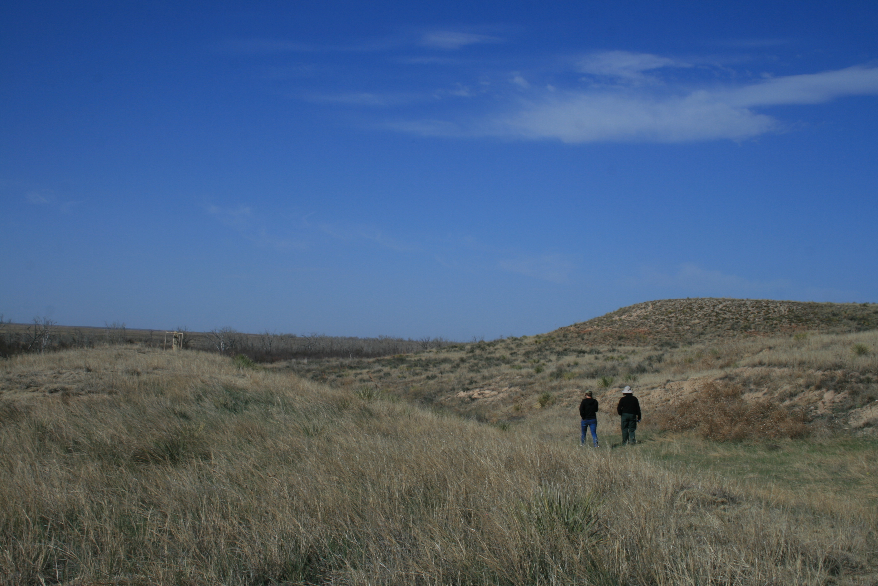 Two people wearing hats stand in a grassy field with a clear blue sky and a small hill in the background.