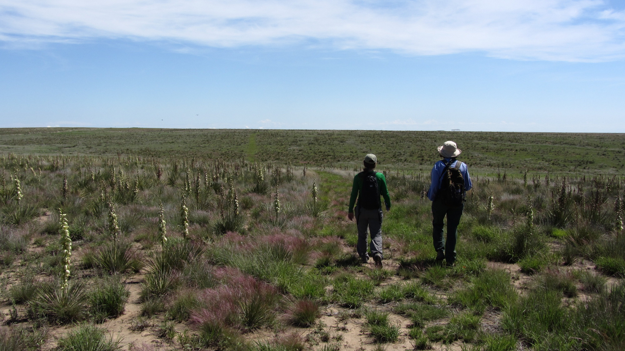 A group of people in a grassy field.