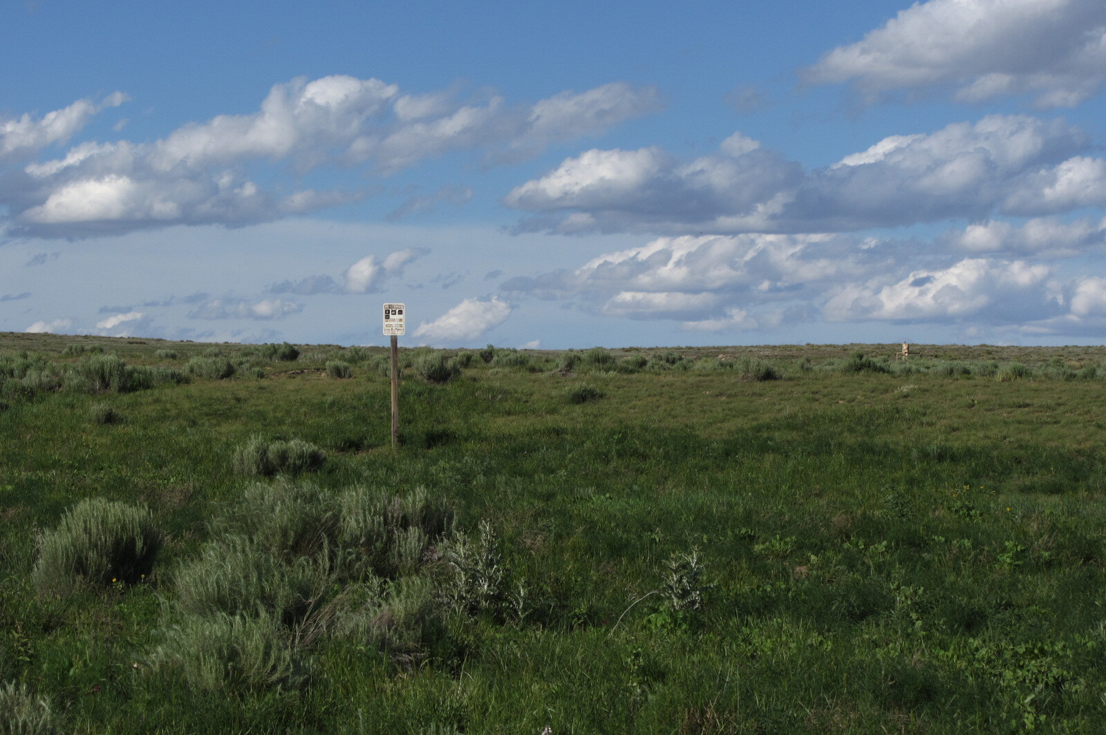 A wooden post with a sign stands in the middle of a vast, grassy plain under a cloudy sky.