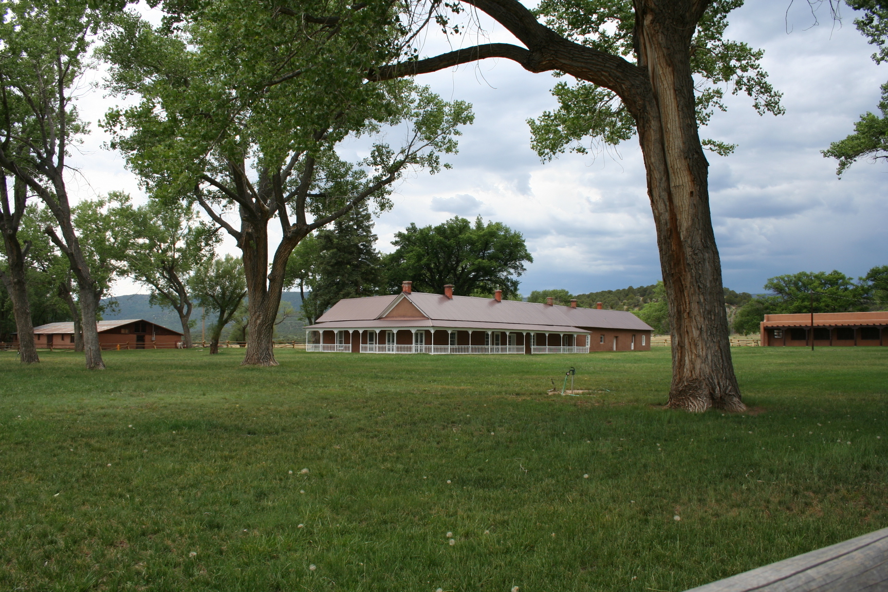 A large tree in the right side of the field.