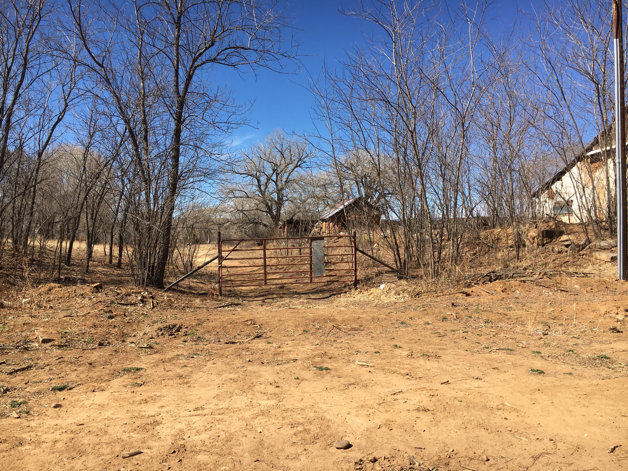 A dirt road with trees and a gate.
