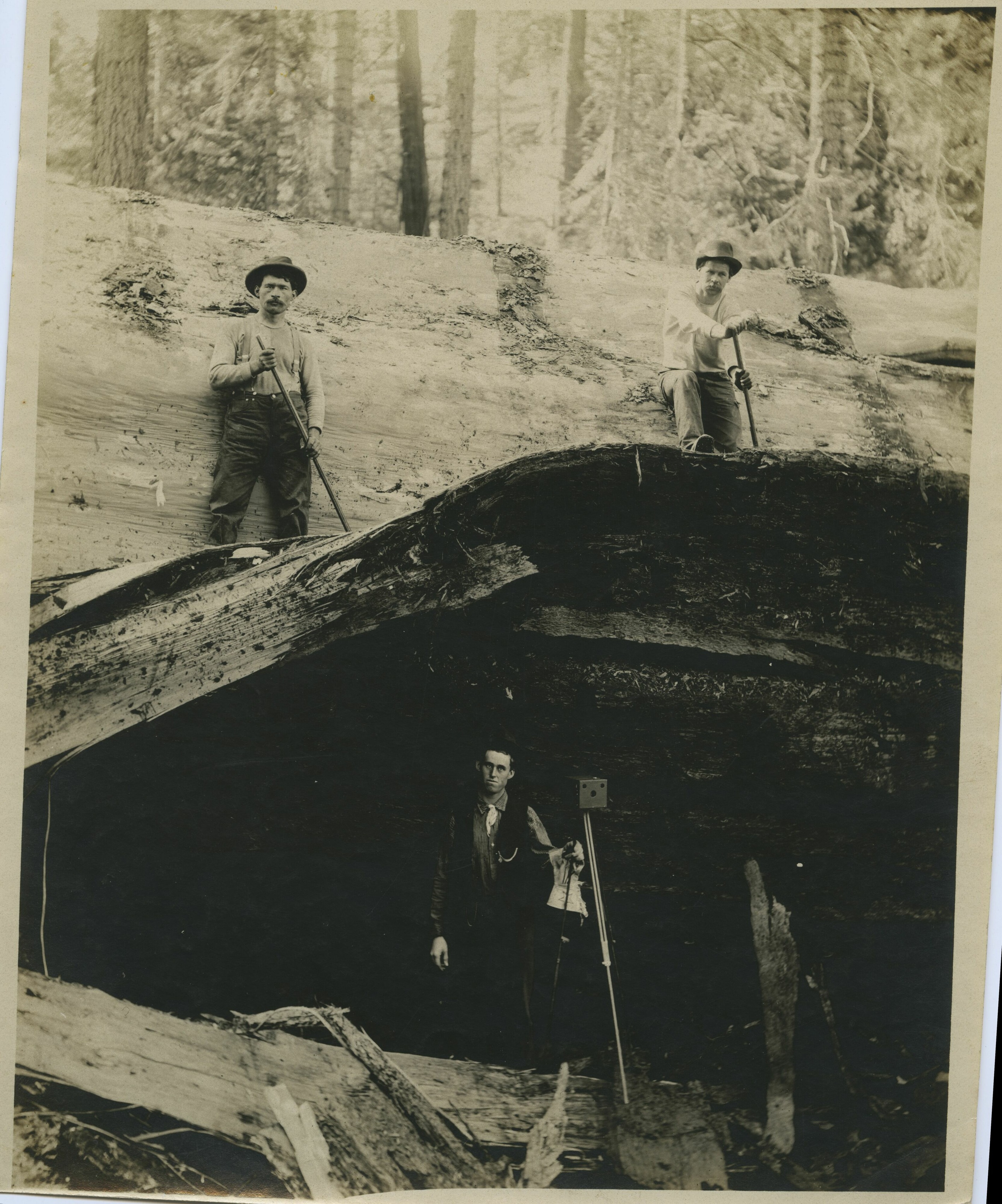 SEKI Roberts Collection Series: 3 Prints; 2 Medium; 11 Portraits and People