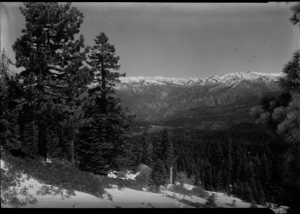 SEKI Roberts Collection Series: 2 Negatives; 12 Scenics