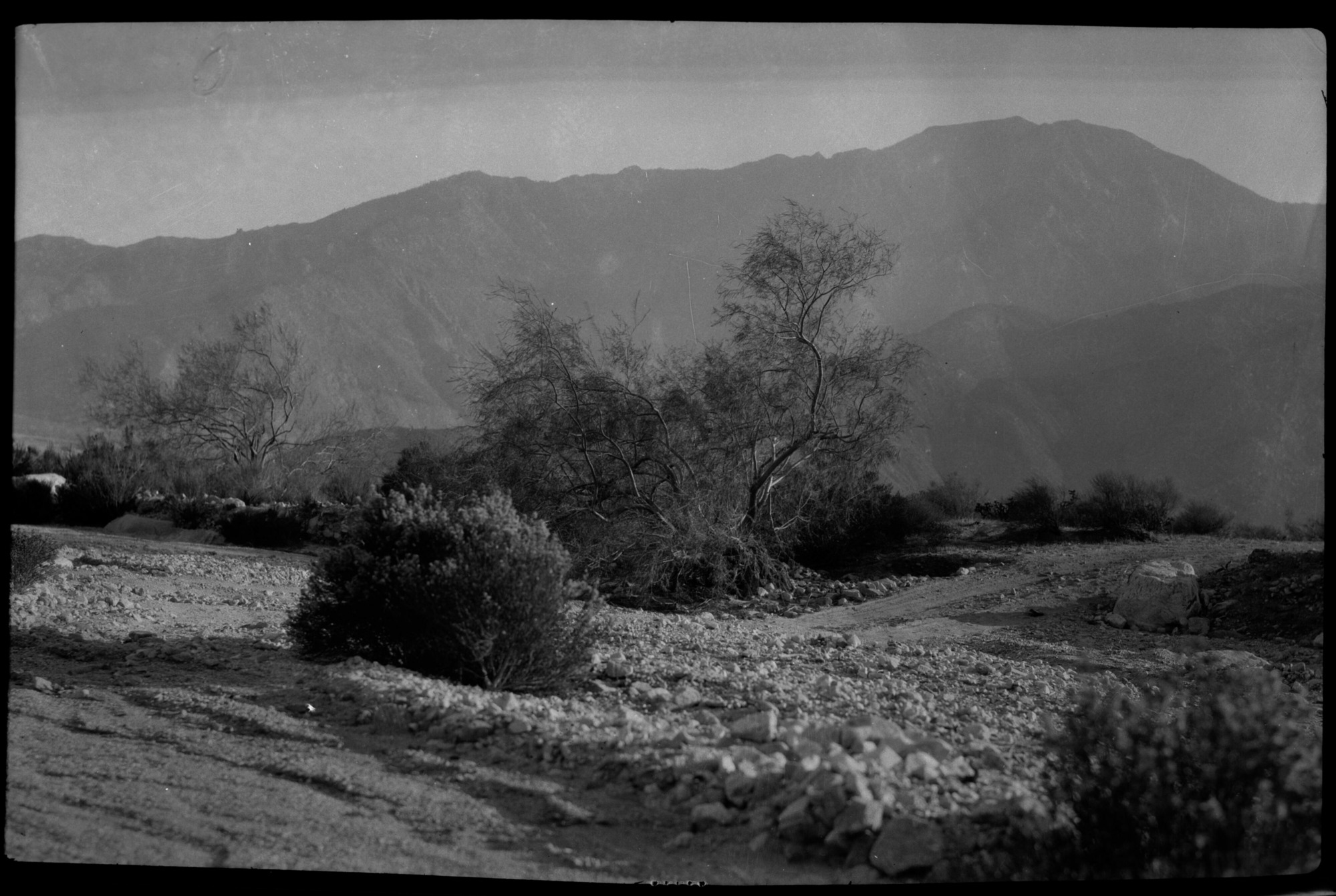 SEKI Roberts Collection Series: 2 Negatives; 10 Outside of the Park