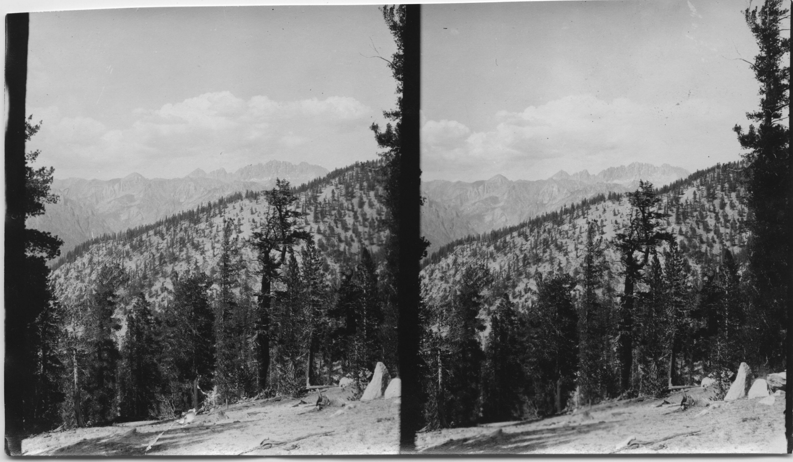 SEKI Roberts Collection Series: 3 Prints; 1 Small; 15 Stereographs