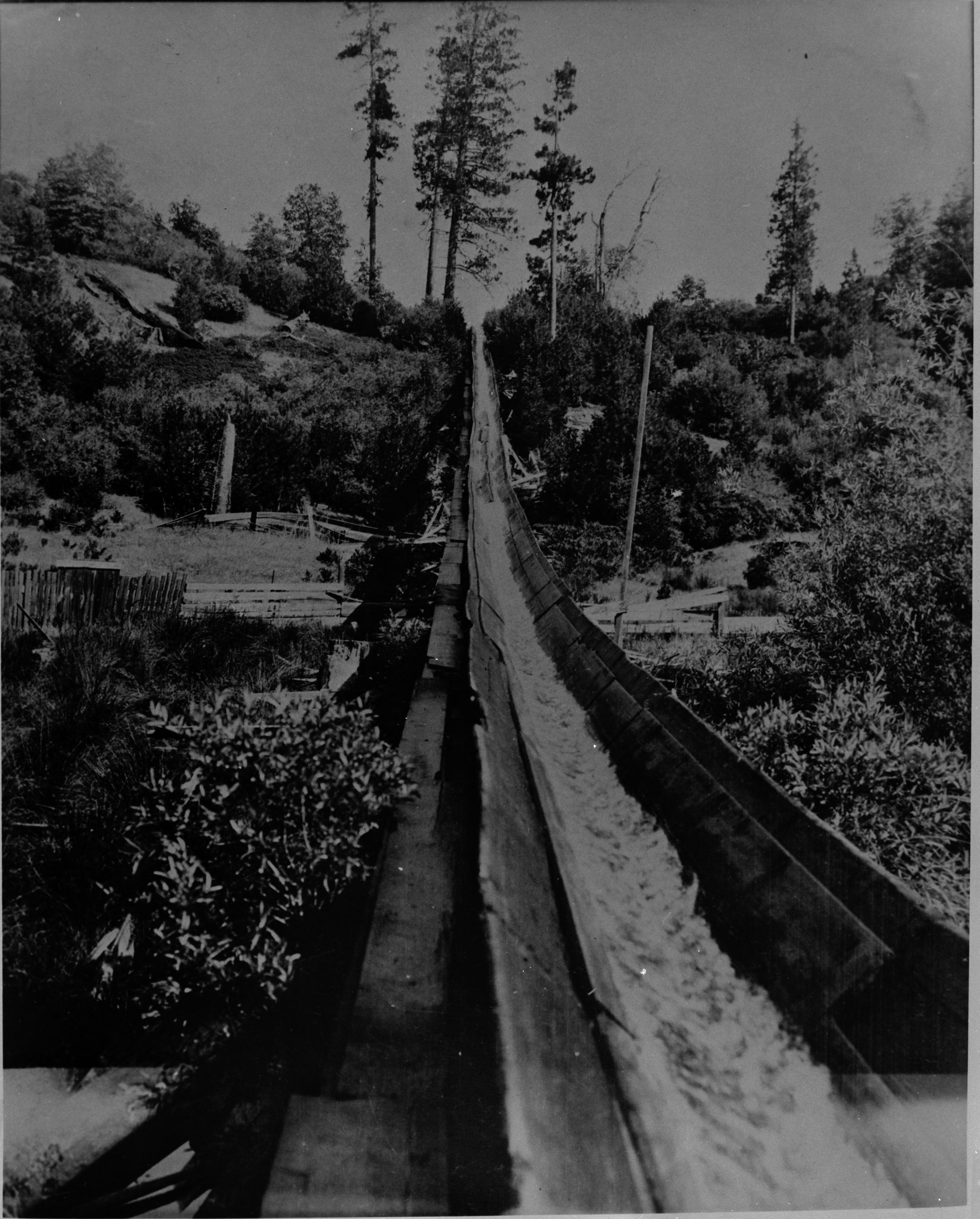 SEKI Roberts Collection Series: 2 Negatives; 8 Logging