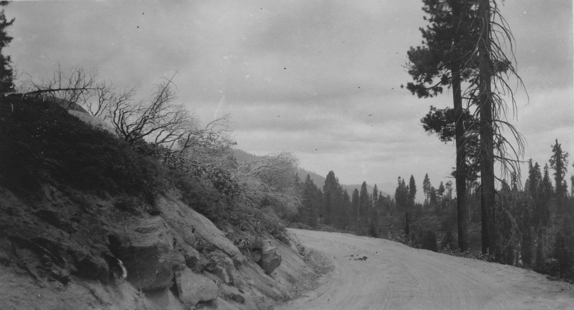 SEKI Roberts Collection Series: 3 Prints; 1 Small; 14 Sites and Structures