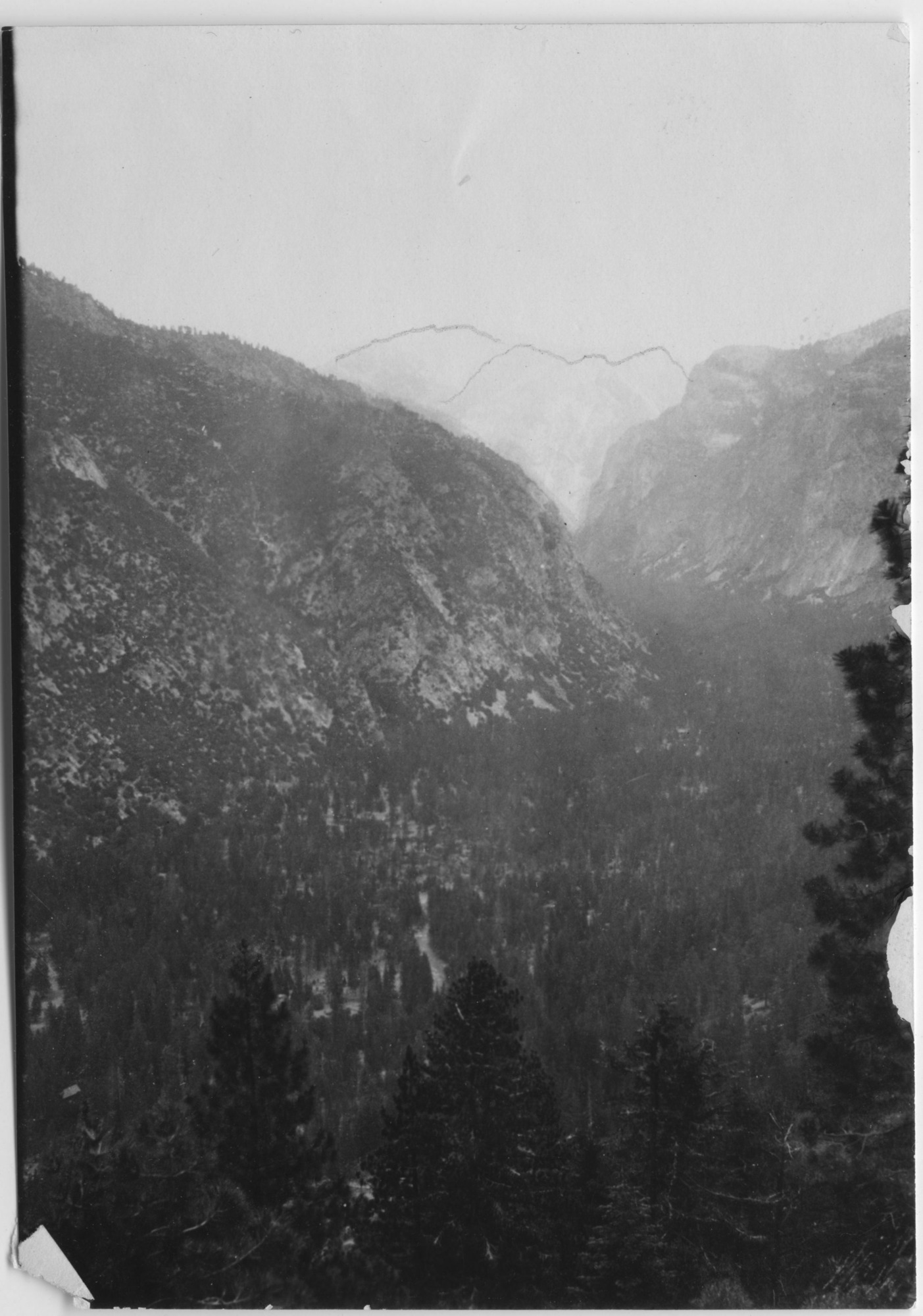 SEKI Roberts Collection Series: 3 Prints; 1 Small; 15 Stereographs