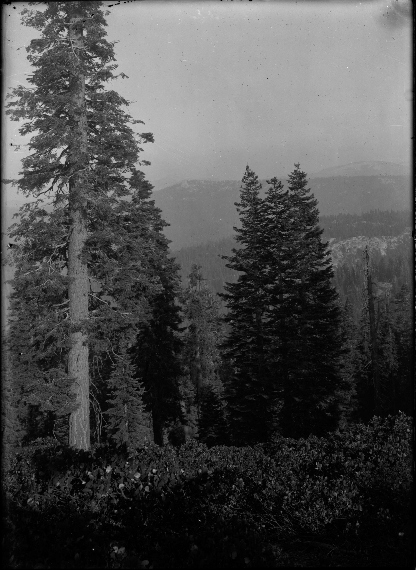 SEKI Roberts Collection Series: 1 Glass Plates; 1 Small glass plates; 12 Scenics