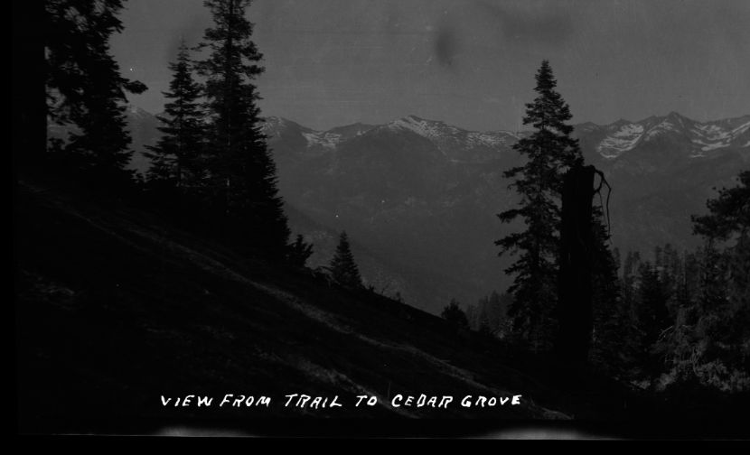 SEKI Roberts Collection Series: 2 Negatives; 12 Scenics