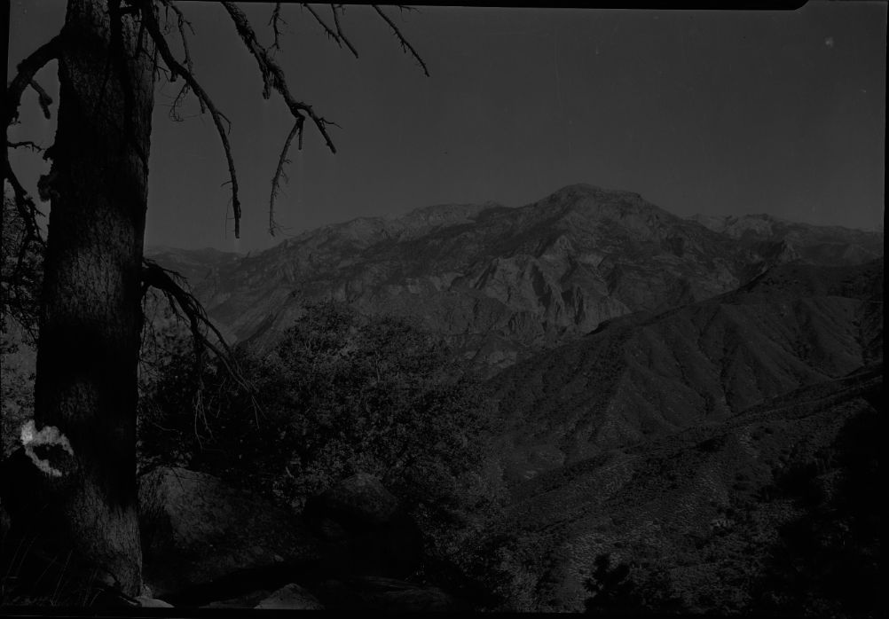 SEKI Roberts Collection Series: 2 Negatives; 12 Scenics