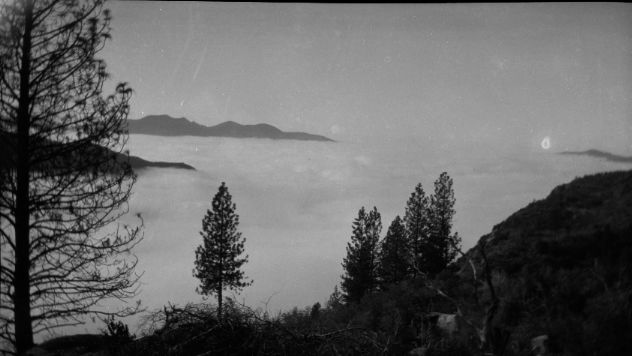 SEKI Roberts Collection Series: 2 Negatives; 12 Scenics