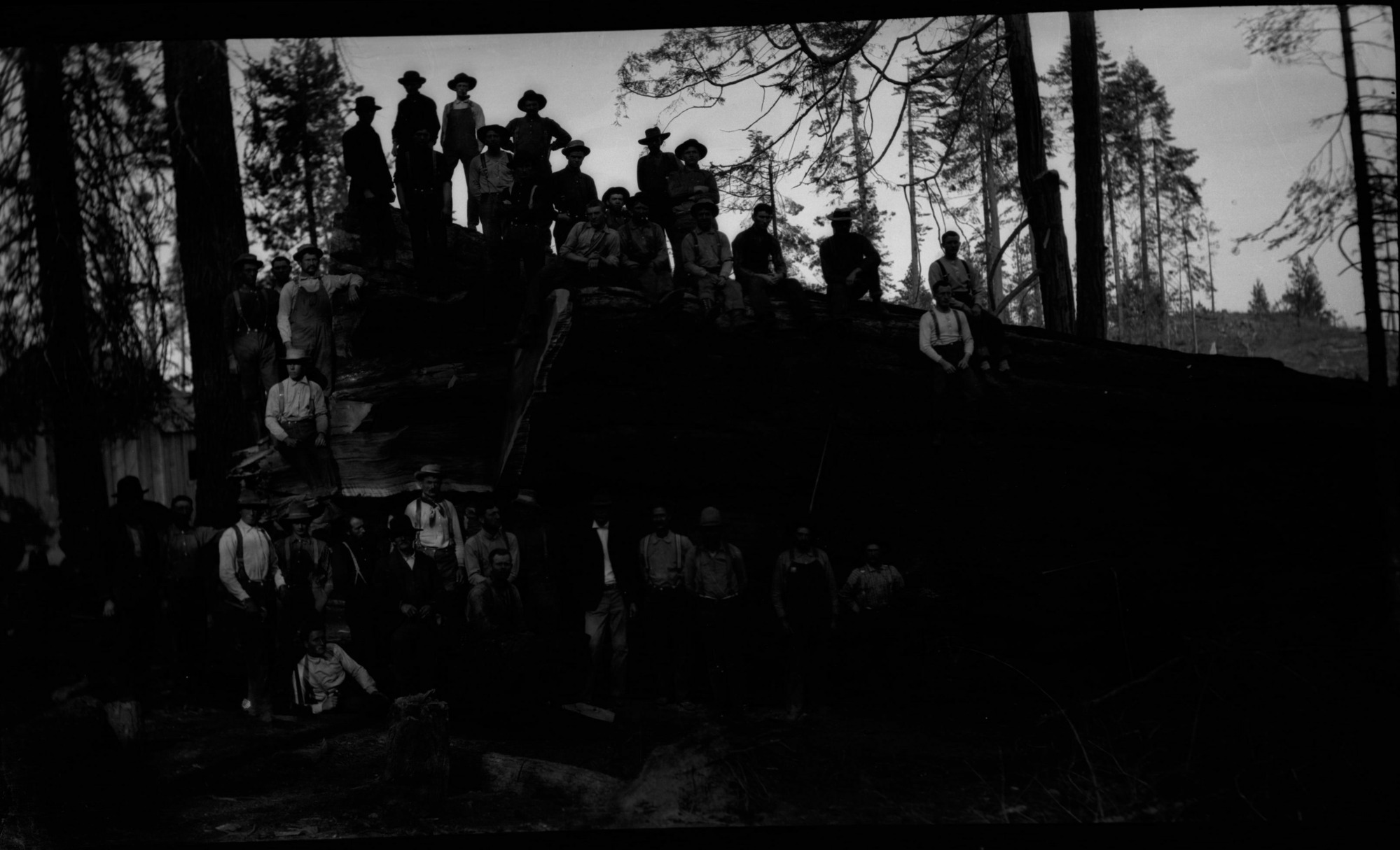 SEKI Roberts Collection Series: 2 Negatives; 8 Logging