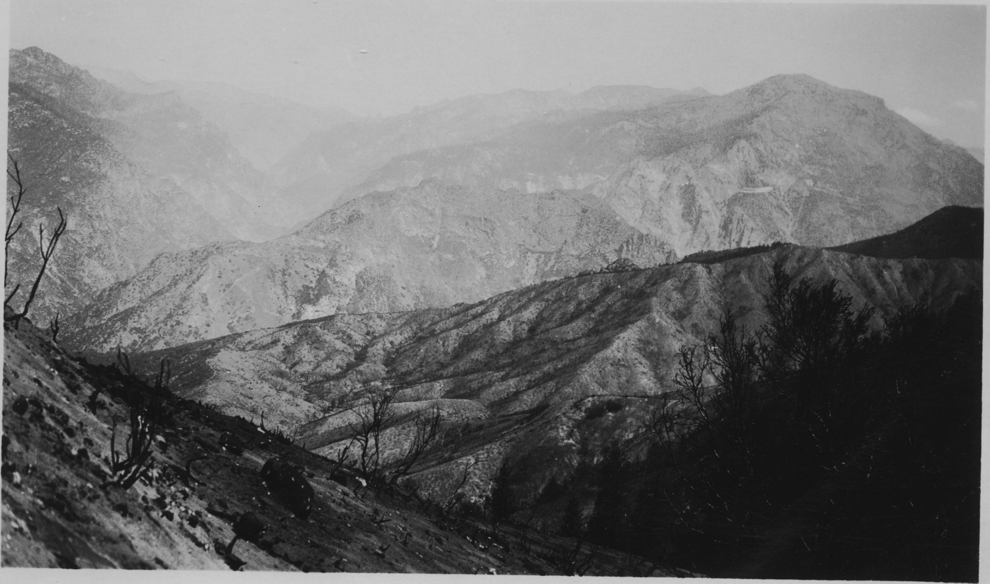 SEKI Roberts Collection Series: 3 Prints; 1 Small; 12 Scenics