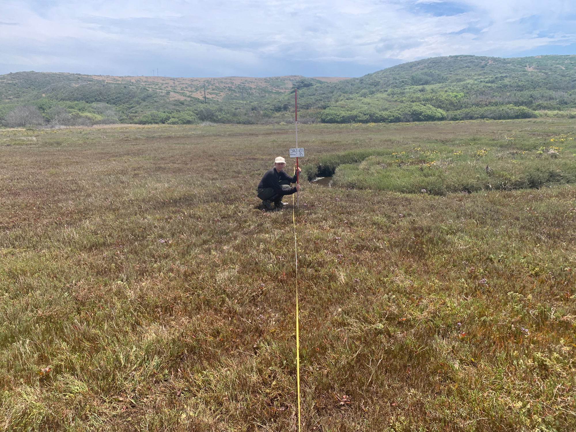 Eye-level view from the center point of a plant community monitoring plot