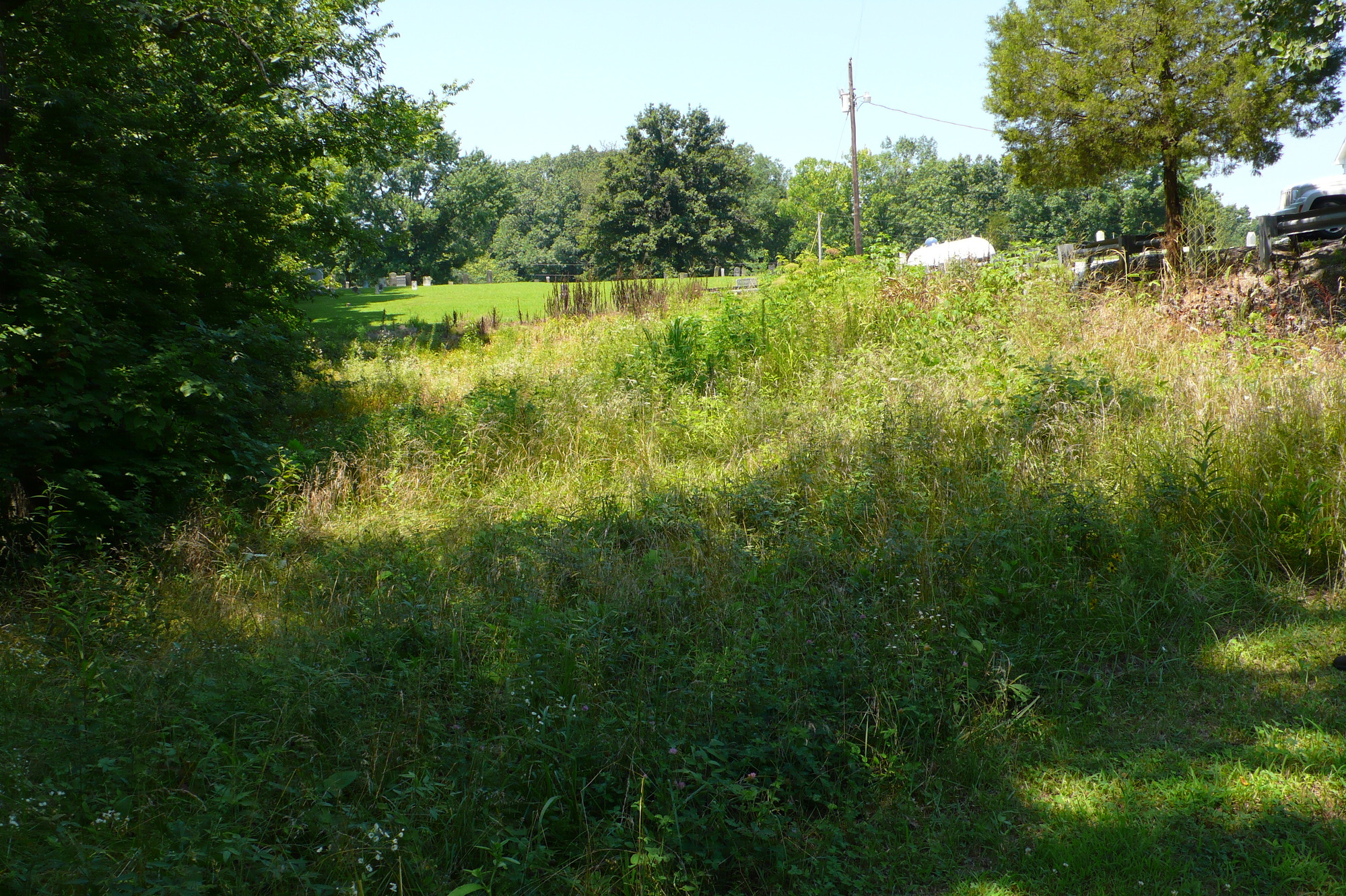 A grassy field with trees in the background.