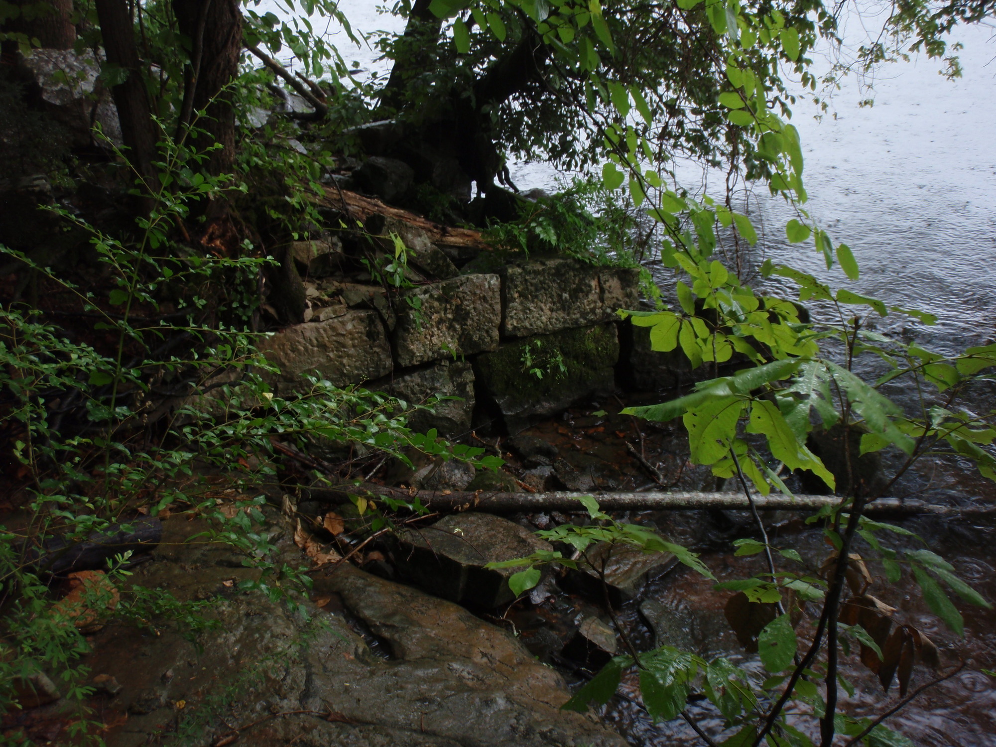 A rocky shoreline with trees and rocks.