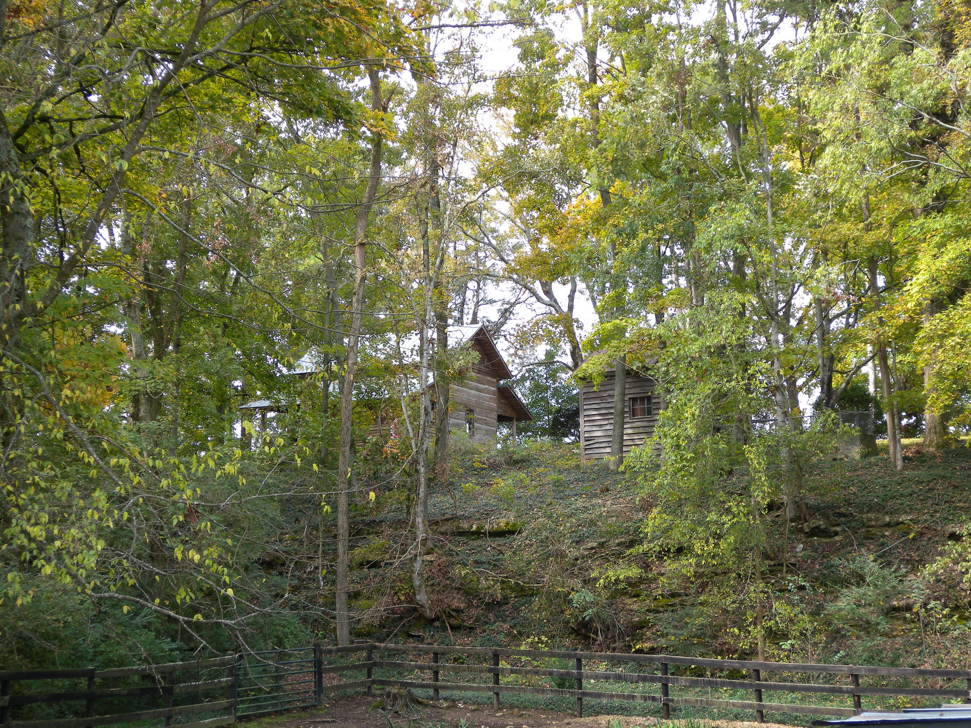 A timbered house in a wooded area.