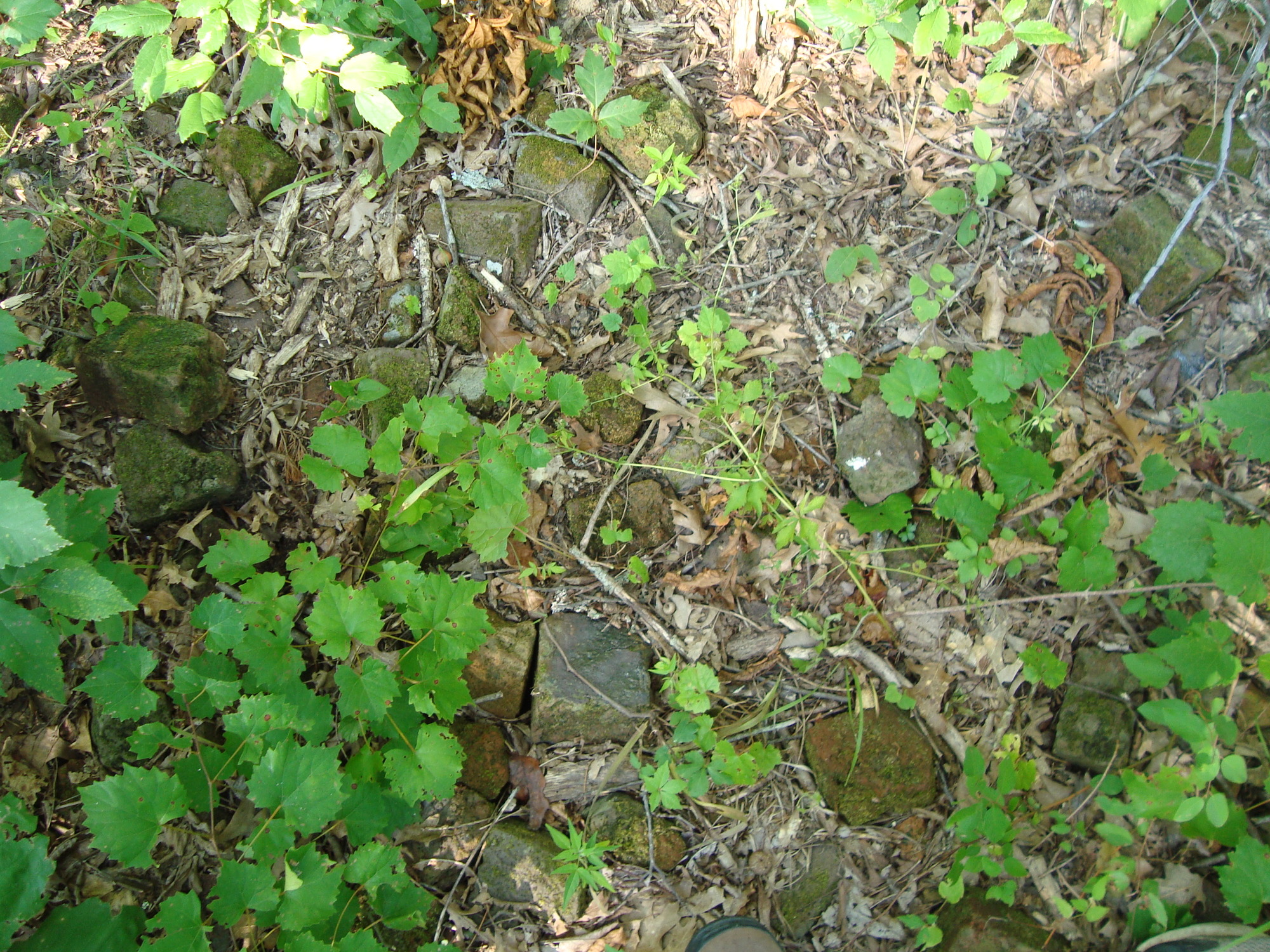 A pile of rocks on the ground.