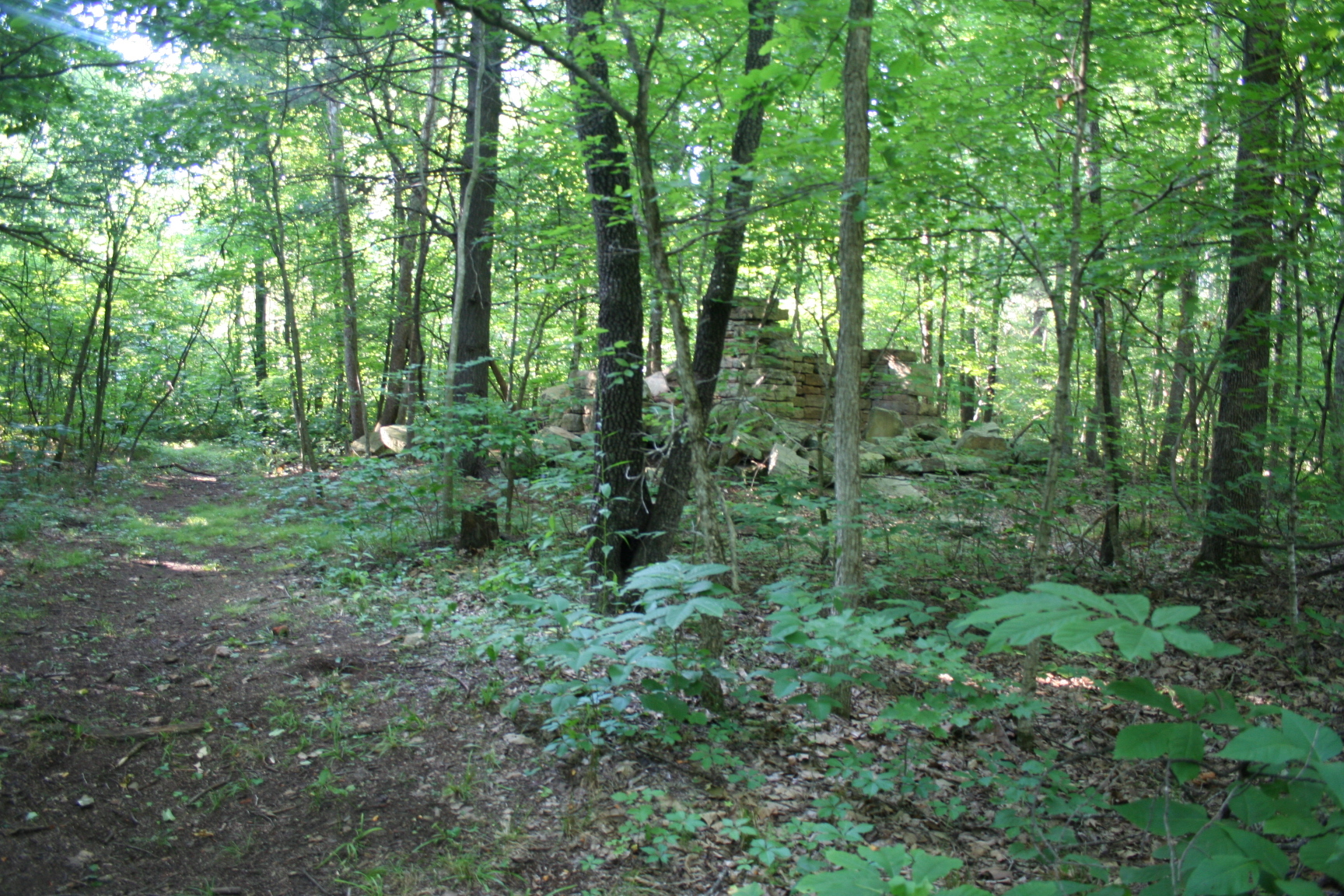 A trail in a wooded area.