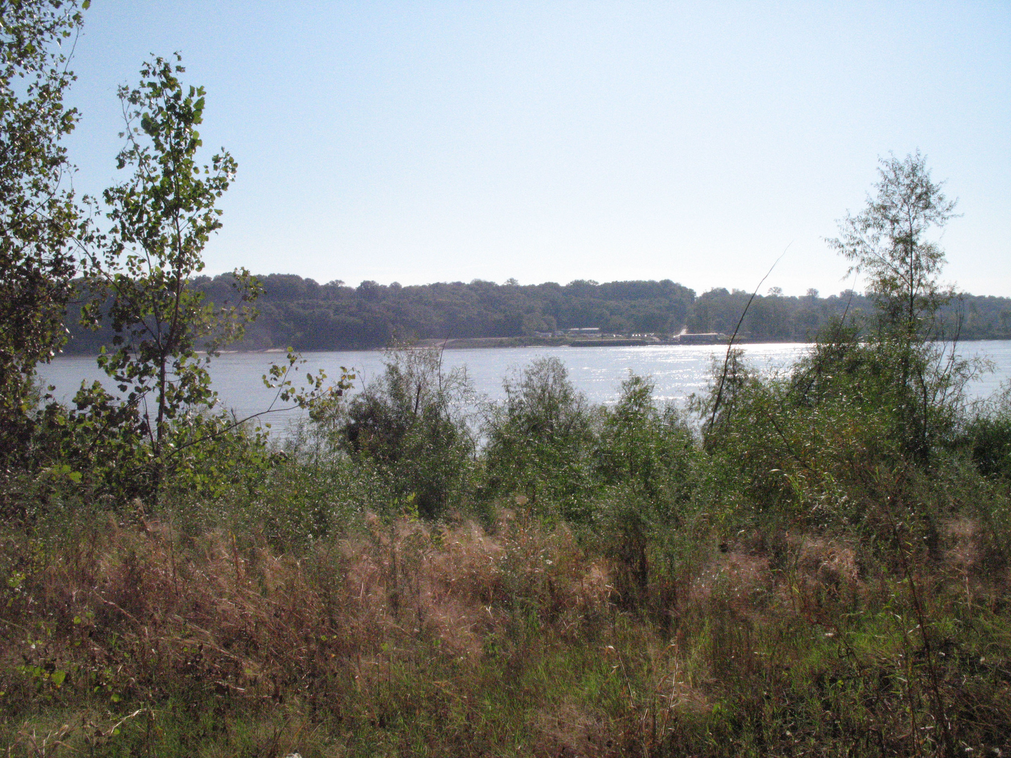 A large body of water surrounded by trees.