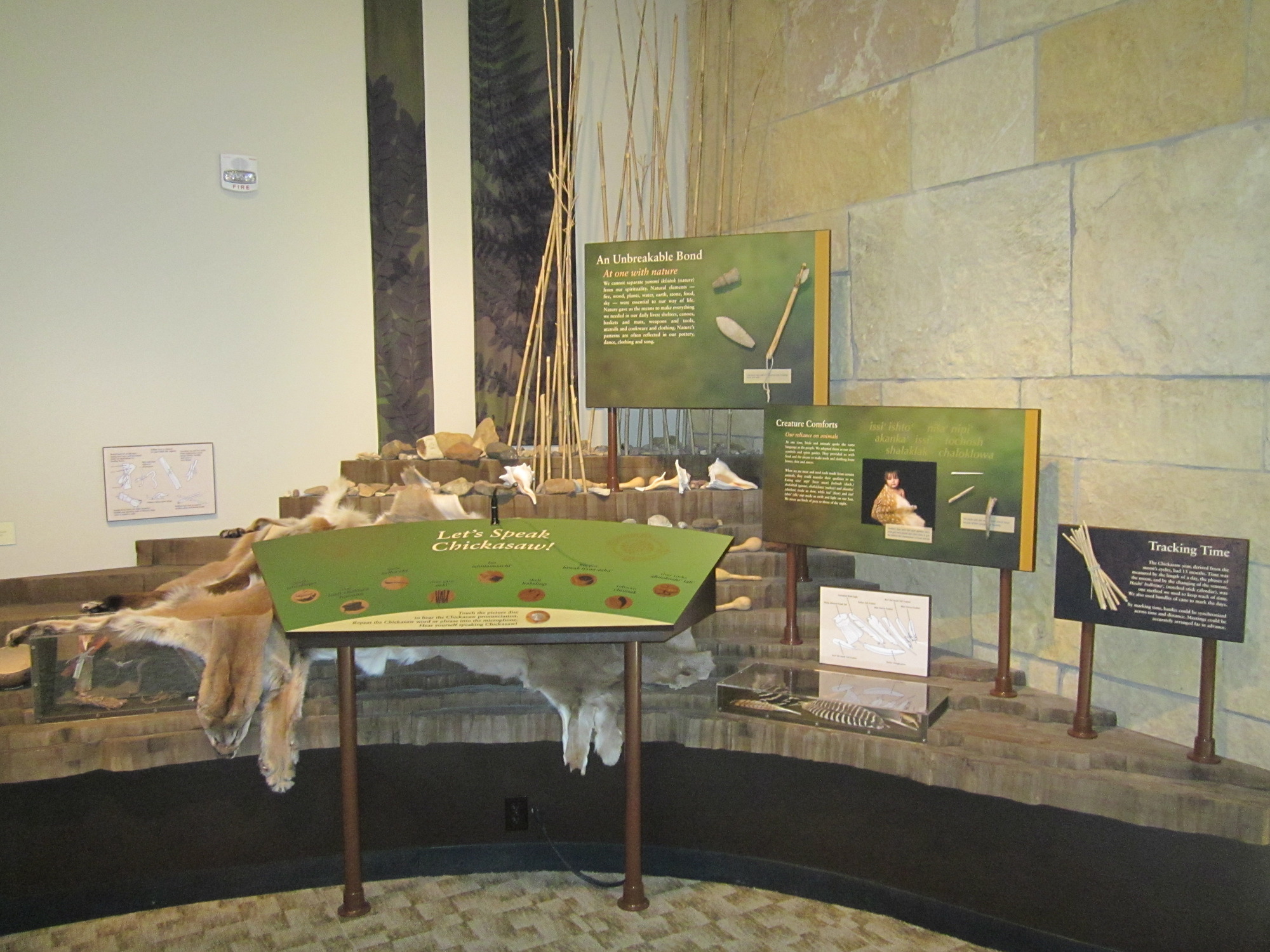 A display of artifacts in a museum setting.
