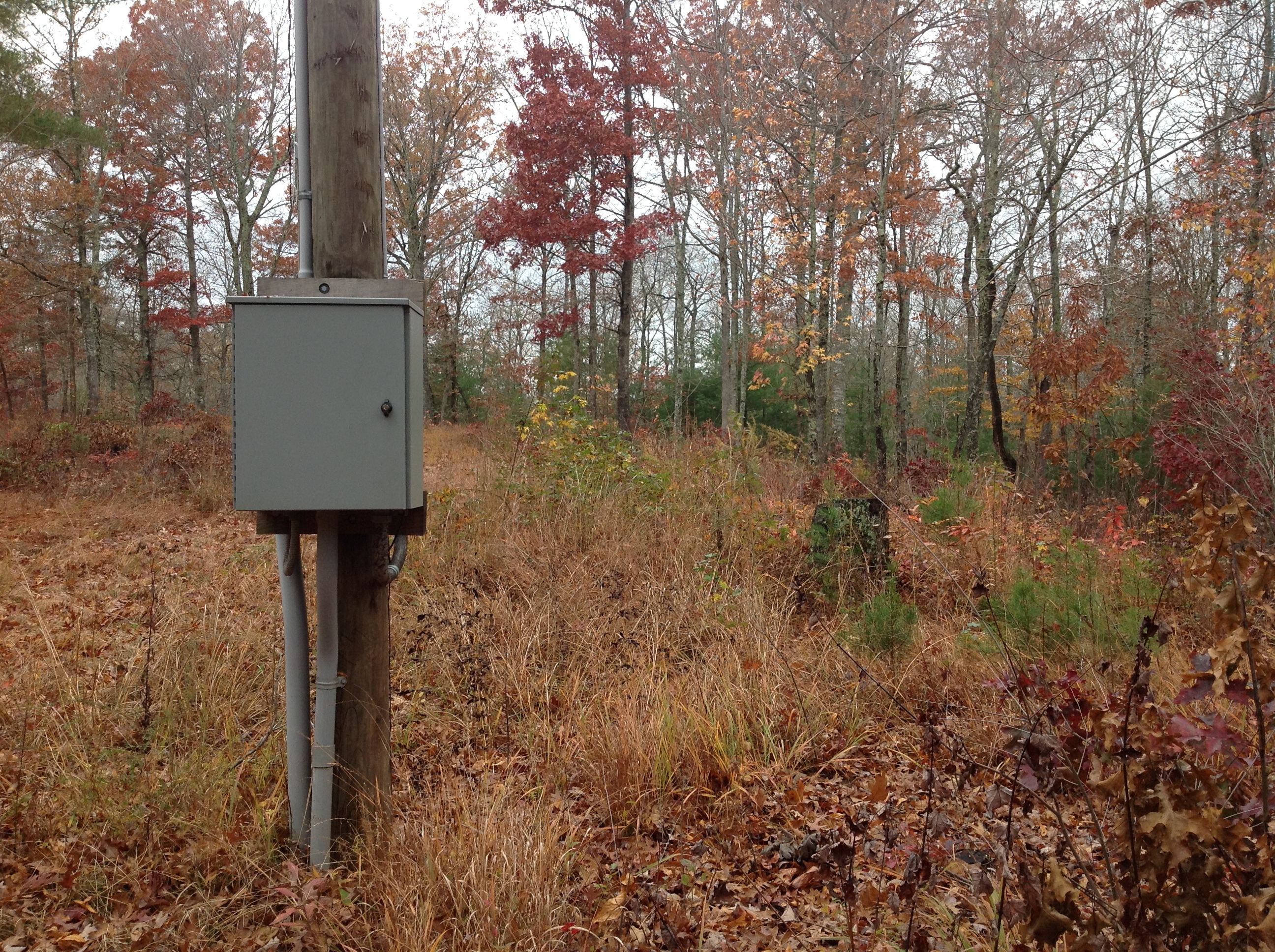 An outdoor power socket in the middle of a wooded area.