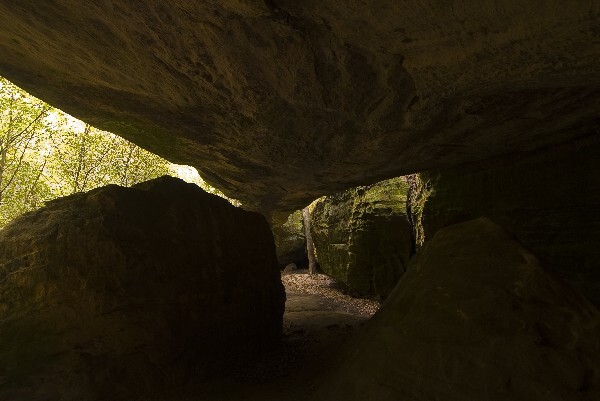 The inside of a cave with rocks and trees.