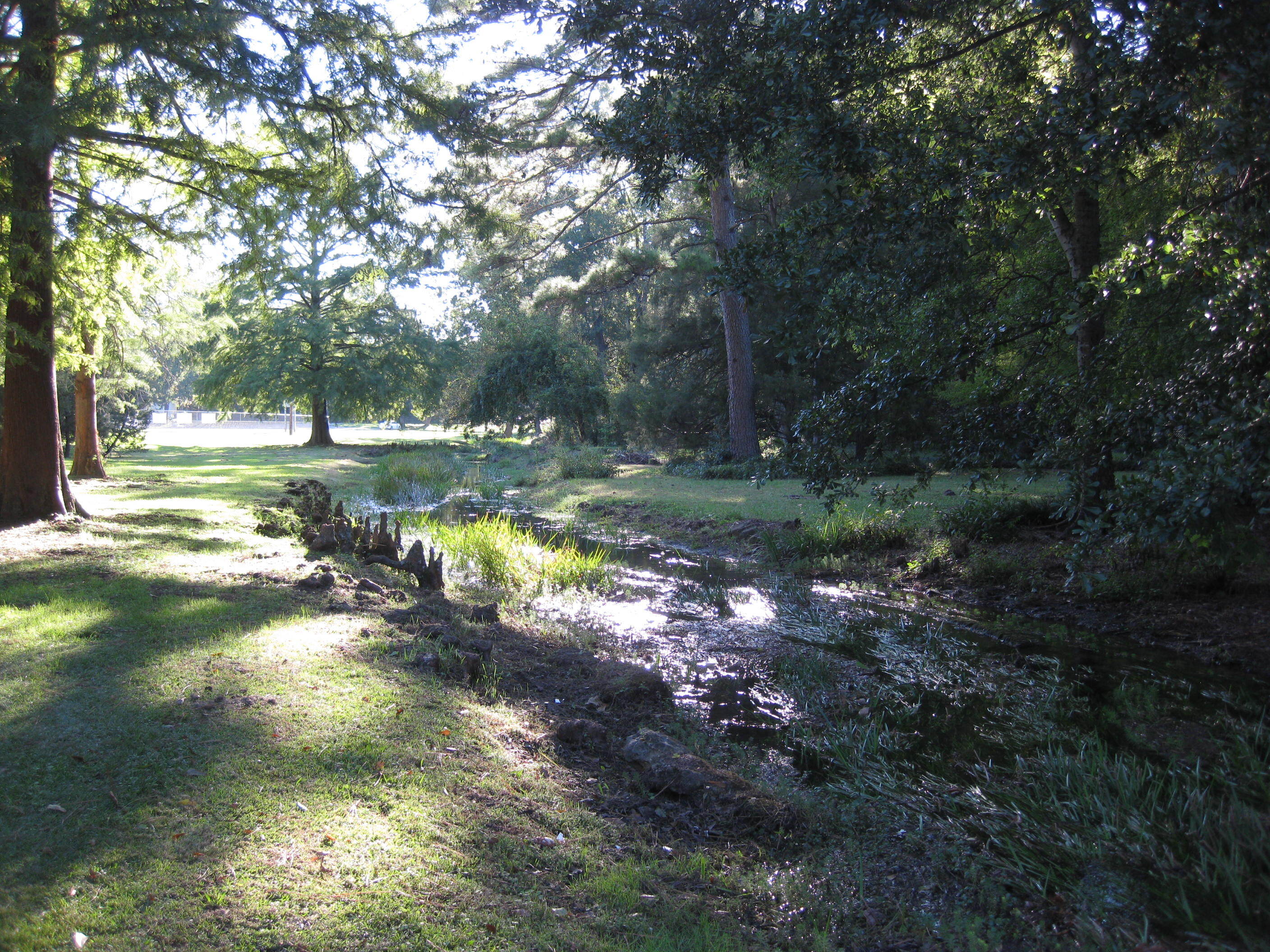 A stream in a wooded area.