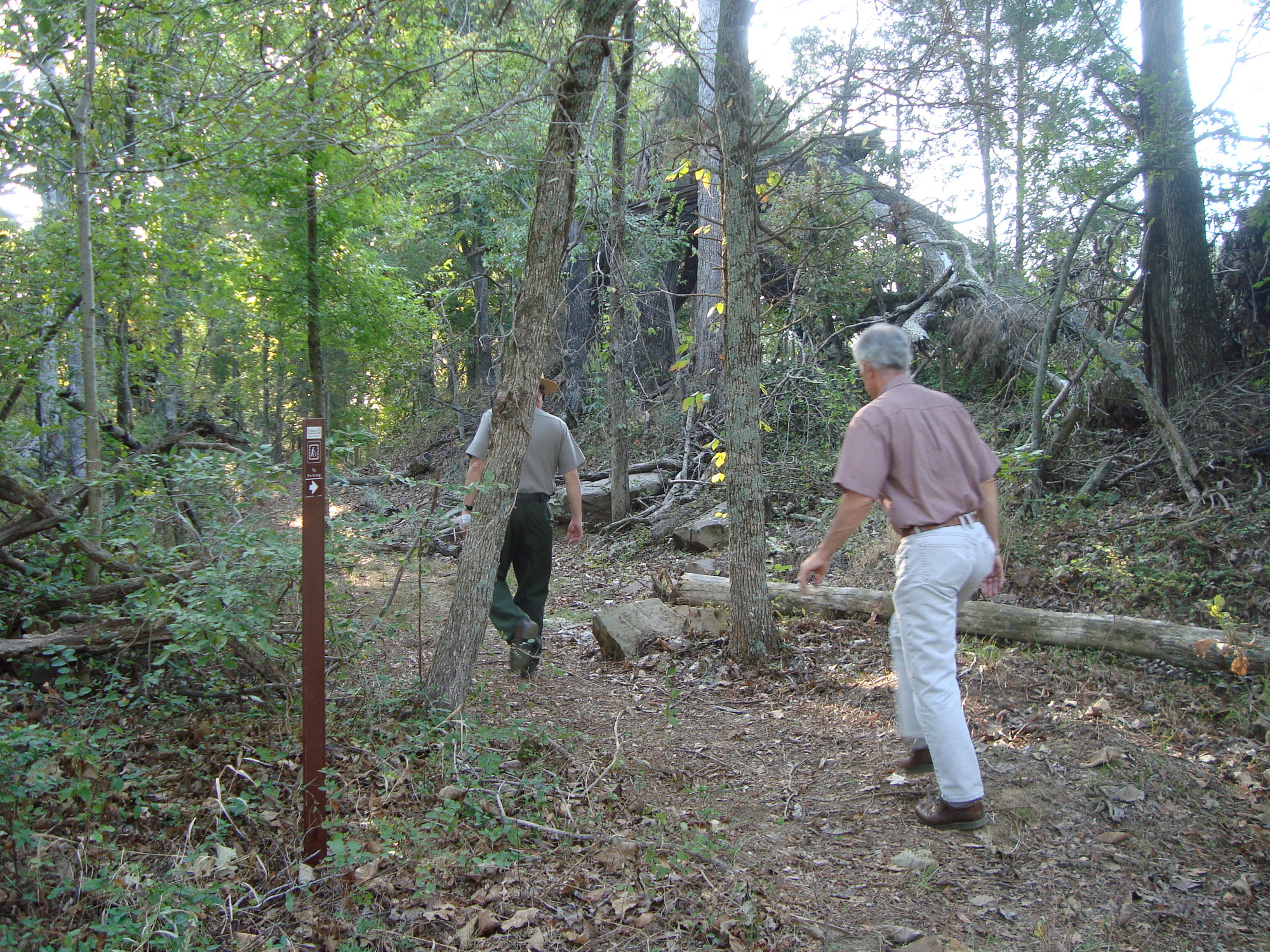 A group of people walking through the woods.