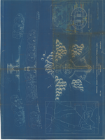 Proposed Desing for Planting the Washington Memorial Arch, Valley Forge Park, PA: Drawing 5