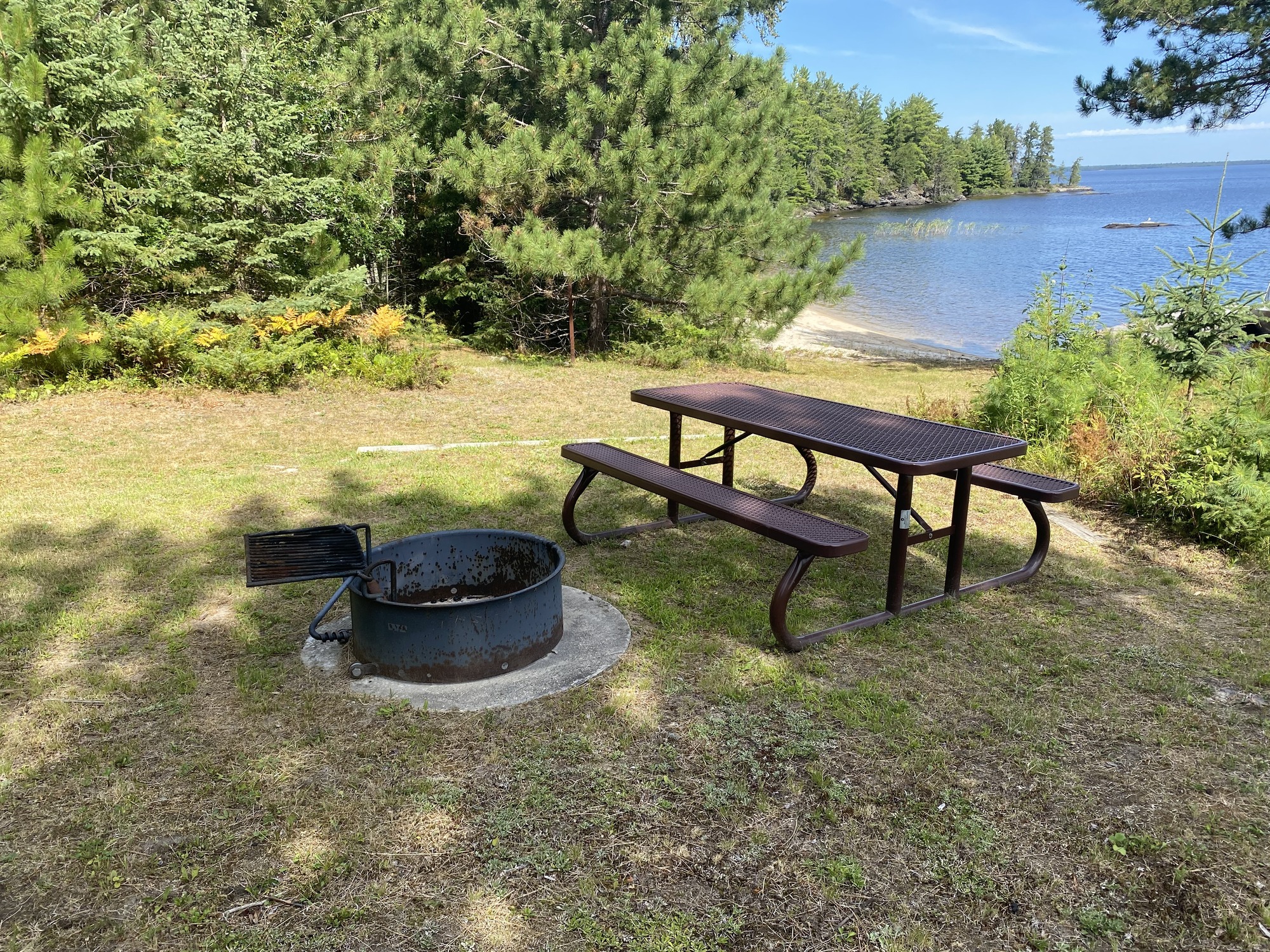 Sunny lakeside campsite with a round metal fire pit on concrete and a brown picnic table, near pines and a sandy shoreline.
