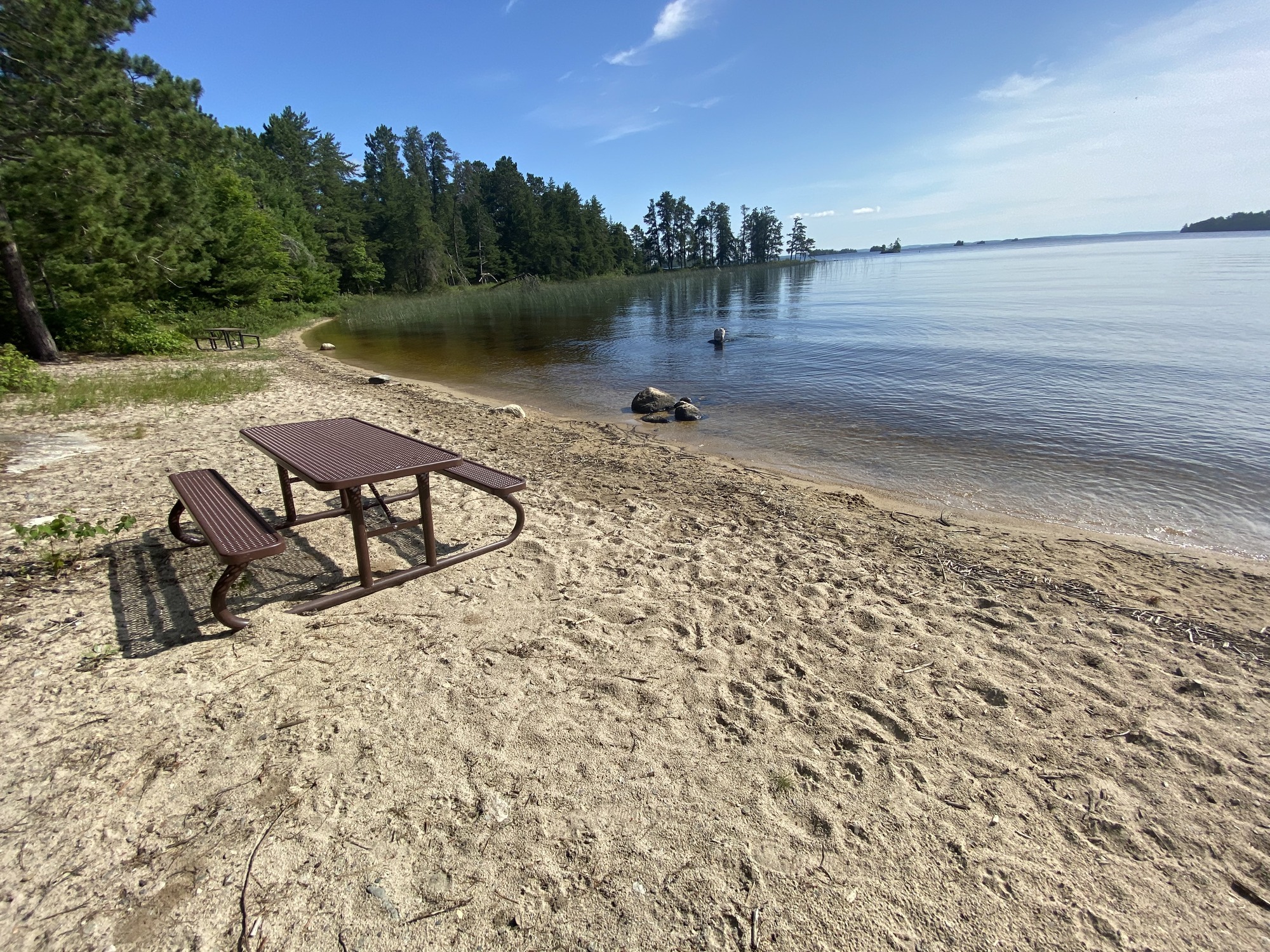 Sunny lakeside beach with a brown metal picnic table and bench on pale sand, calm blue water, pine trees along the shore.
