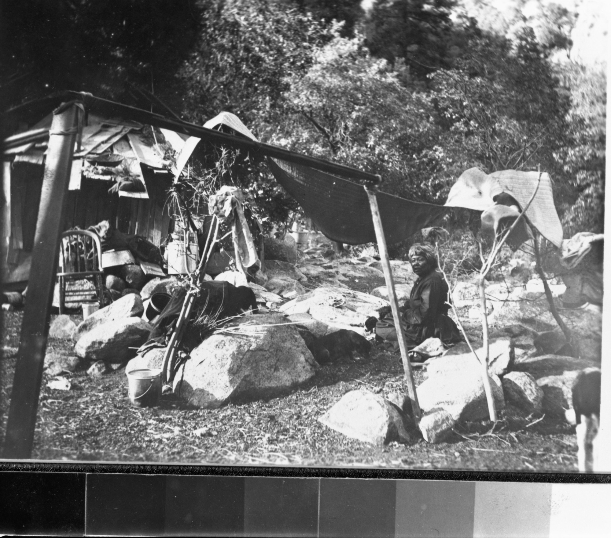Lucy Brown (?) in Yosemite Valley (aka Old Lucy).