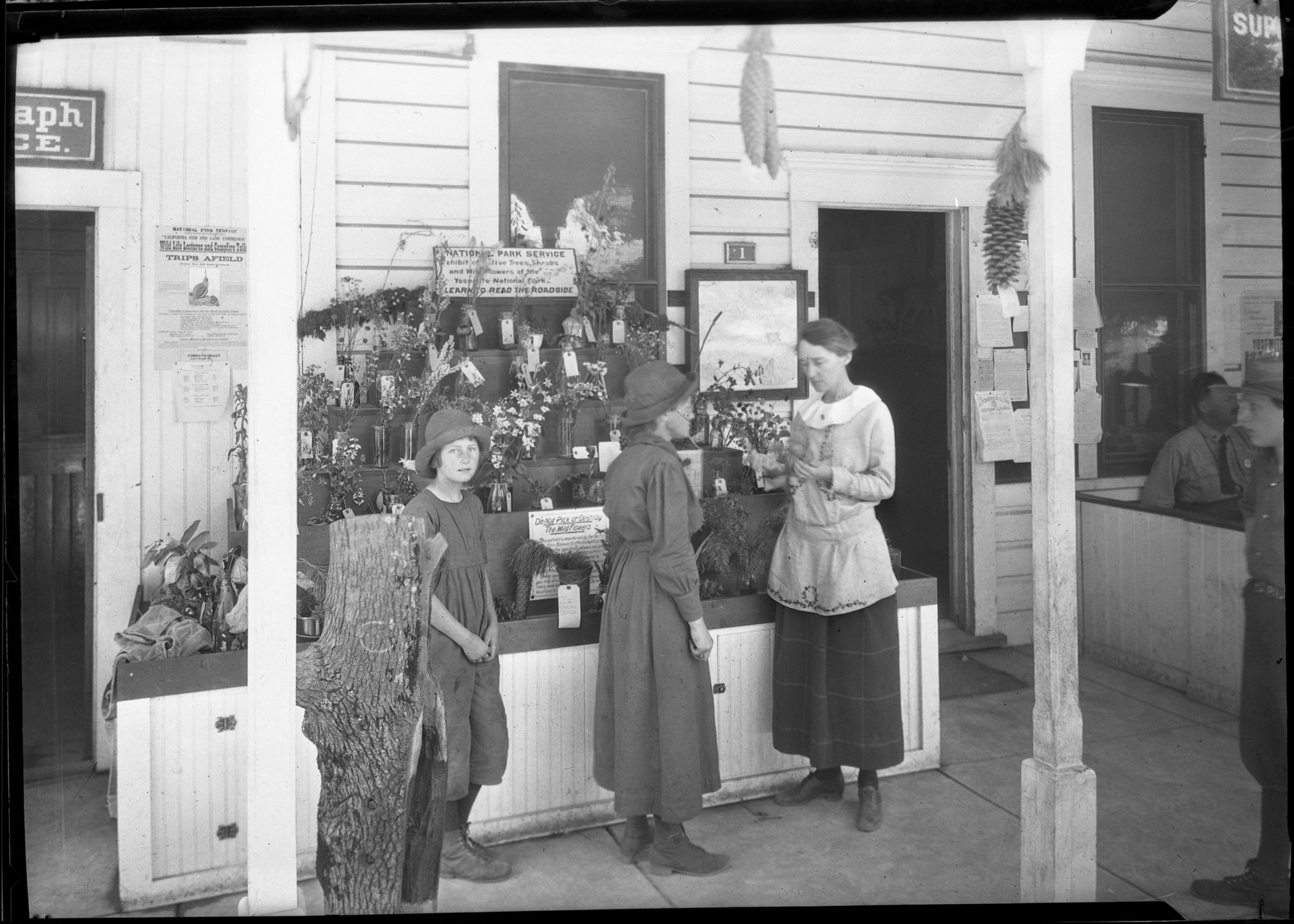Copy Neg: Leroy Radanovich, March 2002. Park Botanist Mrs. Enid Michael in front of flower exhibit at the old Superintendent's office (Old Village).