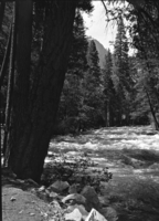 Merced River looking towards Happy Isles.