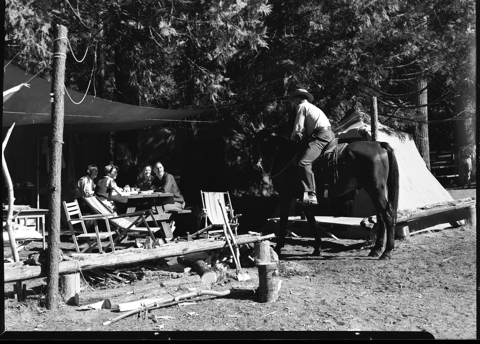 Trailer row in Campground #7 of Yosemite Valley. Trailers and tents are side by side throughout the three summer months. Often as many as 11,000 campers can be counted over-night on a busy holiday weekend in Yosemite Valley.