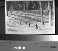 [Skiing at Badger Pass. Yosemite - Chief Park Naturalist].