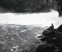 Silver Apron as it flows into Emerald Pool