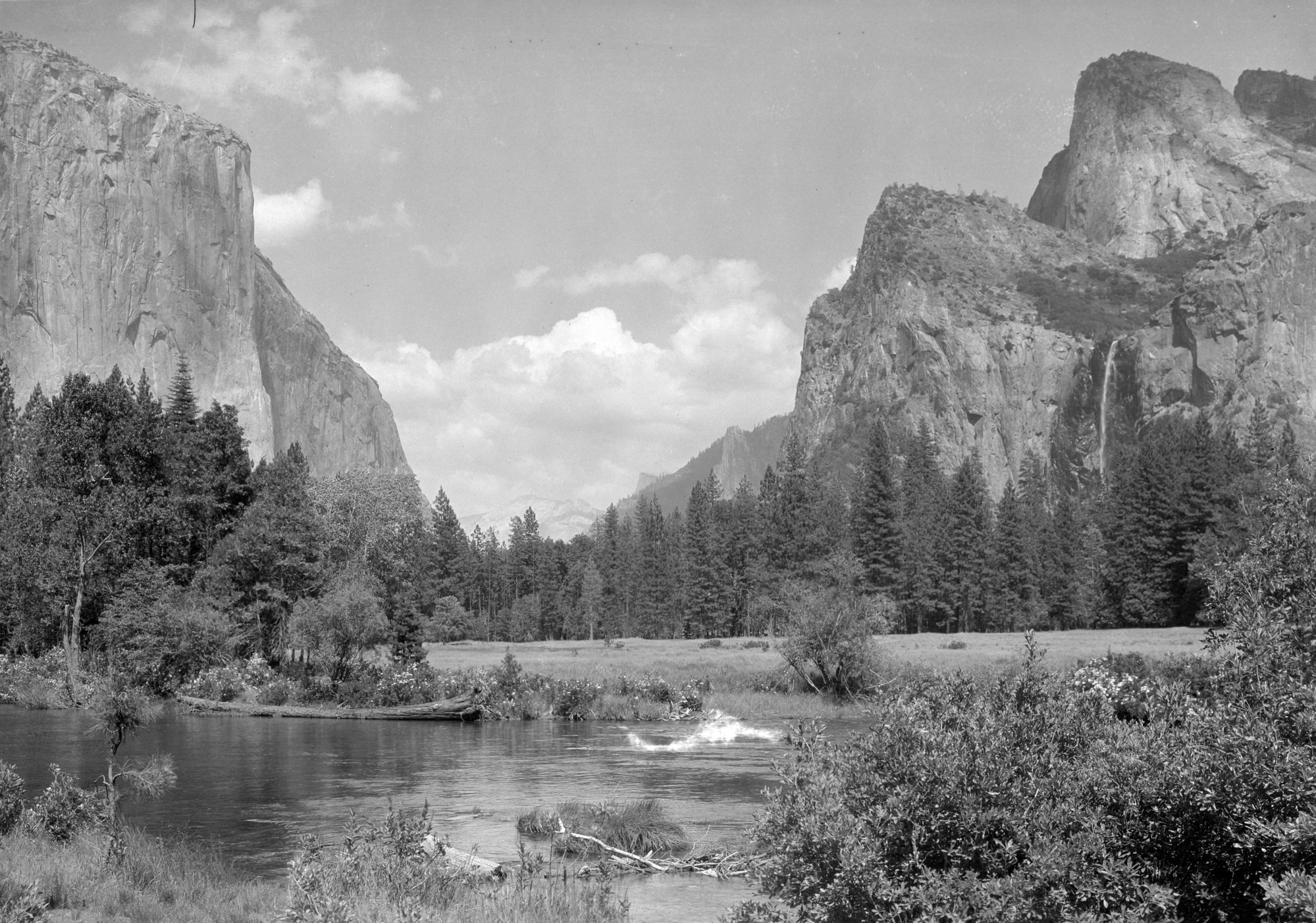 Valley View with azaleas in distance.