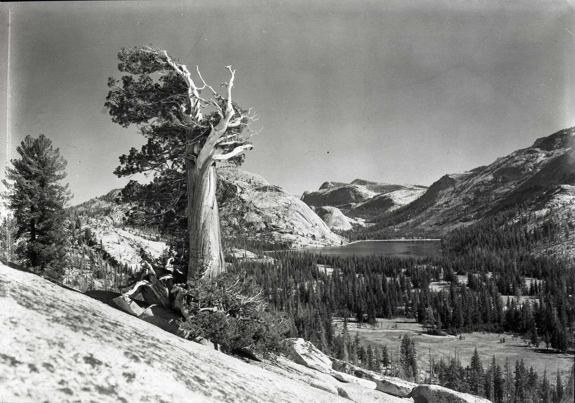 From west of lake with Sierra Juniper.
